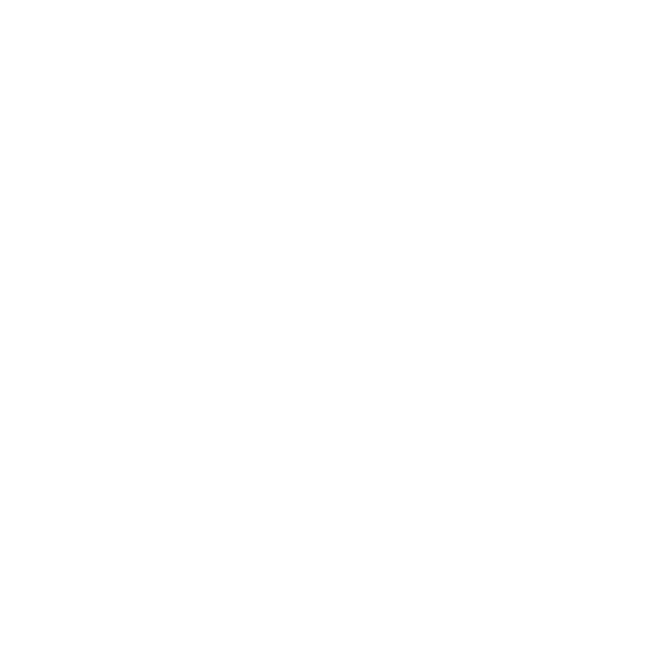 C2C Business Strategies C2C Business Strategies